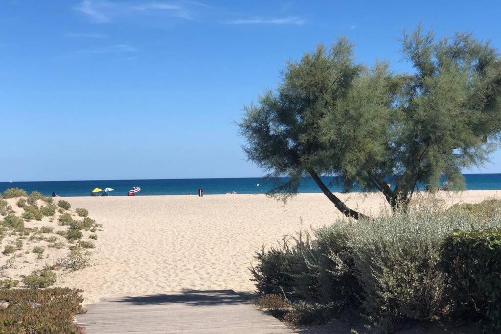 Barcaresa-La Perle Vue Mer Pieds Dans L'Eau Clim Wifi Leucate Zewnętrze zdjęcie