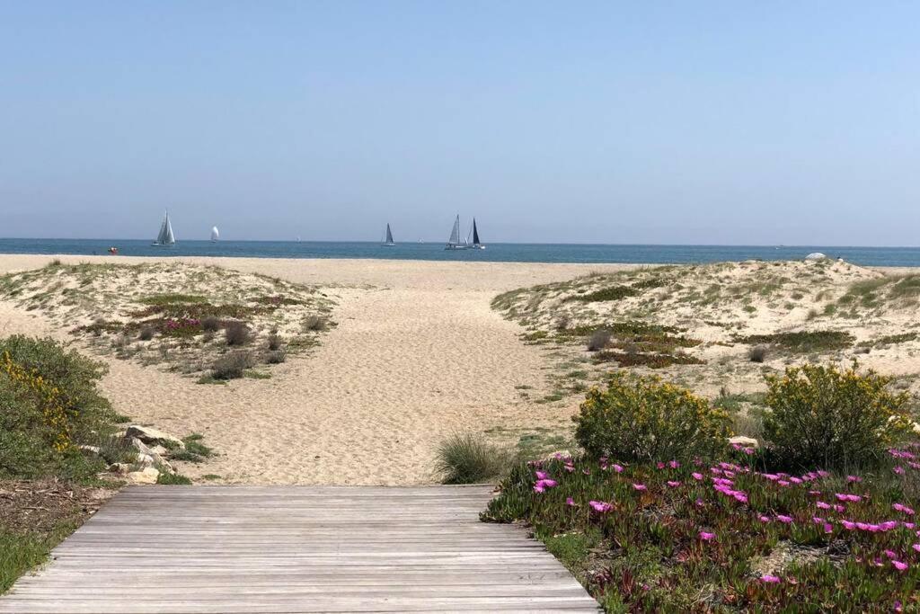 Barcaresa-La Perle Vue Mer Pieds Dans L'Eau Clim Wifi Leucate Zewnętrze zdjęcie